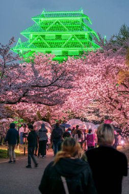 Fukuoka Kalesi 'nin yanındaki kiraz ağacı tüneline doğru yürüyen turistler, Japonya' nın Fukuoka kentindeki Maizuru parkındaki yeşil illüzyonları mahvediyor. İlkbaharda gece vakti Aydınlatma bahçesini görmek için ünlü bir seyahat yeri.