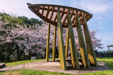 Wooden boat station landmark against cherry blossom of sakura tree and blue sky at spring in Nishi park, Fukuoka, Kyushu. 1 of the 100 best cherry blossom viewing Spots in Japan. clipart