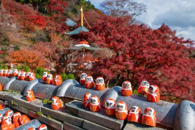 Japonya, Minoh, Osaka 'daki Katsuo-ji Tapınağı' nın güzel sonbahar akçaağaç yaprağı rengi ve pagodası tarafından duvarın çatısındaki Daruma bebekleri. Sonbaharda Kansai 'yi görmek için seyahat yeri. Zafer tapınağı