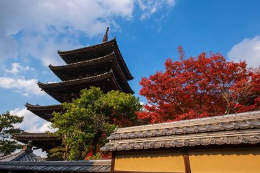 Yasaka ahşap Hokanji tapınağı tapınağı ve sonbaharda mavi gökyüzüne karşı renkli akçaağaç yaprakları, Higashiyama bölgesi, Kyoto, Japonya. Özellikle sonbahar mevsiminde Kansai 'de ünlü bir seyahat yeri..