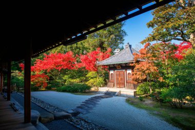 Kenninji tapınağının terasında, Japonya 'nın Kyoto şehrinde renkli yapraklarla yapılmış bahçe ve tapınak var. Özellikle sonbahar mevsiminde Kansai 'de ünlü bir tatil beldesi..