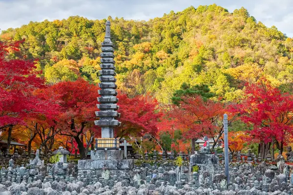 Sonbaharda Adashino Nenbutsuji Tapınağı 'nda, Arashiyama, Kyoto, Japonya' da renkli akçaağaç yapraklarıyla taş tapınak ve Buda heykeli. Kansai 'yi sonbaharda gezmek için turistik bir yer..