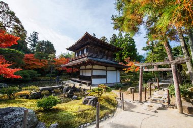 Ginkakuji Tapınağı 'nın Torii kapısı ve gümüş renkli sonbahar yapraklı Pavyonu, Kyoto, Japonya. Sonbahar mevsiminde Kansai 'yi gezmek için ünlü bir gezi yeri..