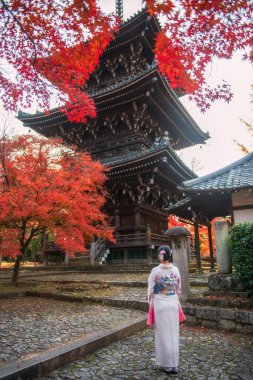 Beyaz Kimonolu Japon kadın Shinnyodo pagoda ve kırmızı sonbahar akçaağaç yapraklarının tadını çıkarıyor, Kyoto, Japonya. Sonbahar mevsiminde Kansai 'yi gezmek için ünlü bir tatil beldesi..