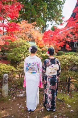 Kimono 'lu Japon kadınlar Japonya' nın Kyoto kentindeki Shinnyodo Tapınağı bahçesinde renkli sonbahar yapraklarının tadını çıkarıyorlar. Sonbahar mevsiminde Kansai 'yi gezmek için ünlü bir tatil beldesi..