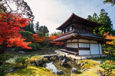 Ginkakuji Tapınağı 'nın gümüş Pavyonu, Japonya' nın Kyoto gölünün yanında renkli sonbahar akçaağaç yaprağı. Sonbahar mevsiminde Kansai 'yi gezmek için ünlü bir gezi yeri..