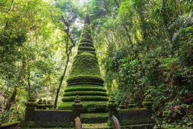 Tayland, Chanthaburi 'deki Phlio Şelalesi Ulusal Park Ormanı' nda yeşil yosun ile bağlanmış eski pagoda. Siyam ya da Tayland 'ın doğusunda ünlü bir seyahat yeri..