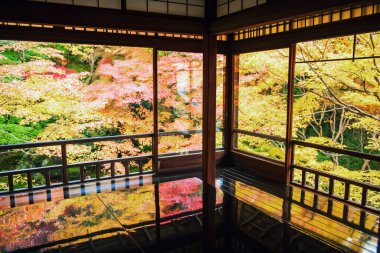 Rurikoin Tapınağı 'nın üst katındaki Kyoto, Japonya' nın güzel sonbahar yeşillik bahçesinin yanındaki ahşap masa ve koltuklar. Sonbahar sezonunda Kansai 'yi gezmek için ünlü bir tatil beldesi..