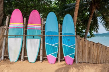 Tayland, Chonburi 'deki Pattaya Jomtien sahilindeki bambu duvarı ve hindistan cevizi ağacının yanında renkli sörf tahtası. Tropikal ülkede ünlü seyahat merkezi, yazları Siyam.