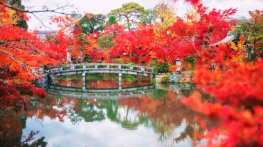 Japonya 'nın başkenti Kyoto' da sonbaharda Eikan-do ya da Eikando Zenrinji Tapınağı 'nda ufuk çizgisi yansıması olan Hojo göleti boyunca uzanan taştan köprü üstüne kırmızı akçaağaç tüneli. Sonbaharda Kansai 'yi gezmek için turistik bir yer.