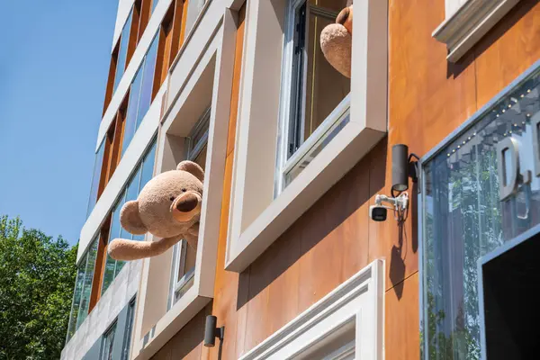 Anfu Yolu 'ndaki 13DE Marzo Kafe' nin penceresinden şirin bir ayı oyuncağı. Meşhur seyahat yeri ve popüler içecek markası.