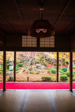 Japon sonbahar bahçesi manzarası Enkoji Tapınağı 'nın yanında kırmızı halı terası, Kyoto, Japonya. Rinzai Zen Budist mezheplerinin seyahat yeri Kansai 'yi turistik geziler için dikey görüş alanında sonbaharda.