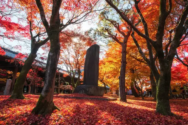 Renkli akçaağaç yapraklı taş yazıt heykeli Japonya 'nın başkenti Kyoto' da Aralık ayında koridor patikasının yanındaki Tofuku-ji bahçesinde güneş ışığına karşı. seyahat formu Kansai 'yi gezmek için..