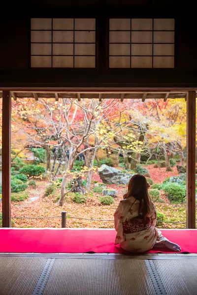 Geleneksel kimonolu Japon kadın, Japonya 'nın Kyoto kentindeki Enkoji Tapınağı' nda renkli sonbahar yaprakları bahçesine bakıyor. Rinzai Zen Budist mezhebinin varış yeri Kansai 'de sonbaharda..