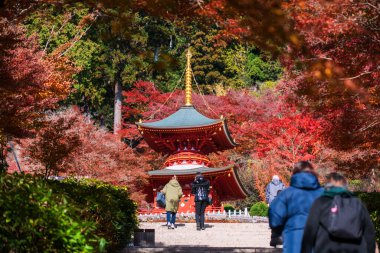 Turistler, aralık ayında, Minoh, Osaka, Japonya 'da renkli sonbahar yaprakları bahçesinin yanındaki Katsuo-ji tapınağına yürürler. Sonbaharda Kansai 'yi görmek için ünlü bir seyahat yeri. Zafer tapınağı