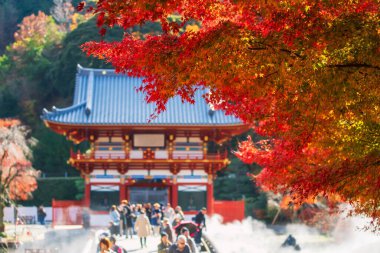 Bulanık insanlarla renkli akçaağaç yaprakları, Katsuo-ji tapınağı girişi, sonbaharda buhar, Minoh, Osaka, Japonya. Sonbahar mevsiminde Kansai 'yi gezmek için ünlü bir gezi yeri. Zafer tapınağı.