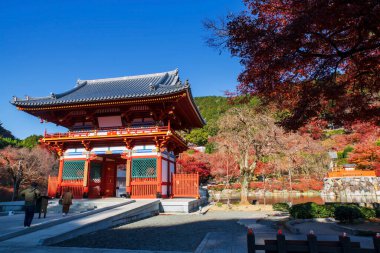 Turistler mavi gökyüzü, Minoh, Osaka, Japonya 'ya karşı Katsuo-ji tapınağı kapısına renkli sonbahar yaprağıyla giriyorlar. Sonbahar mevsiminde Kansai 'yi gezmek için ünlü bir tatil beldesi. Zafer tapınağı.