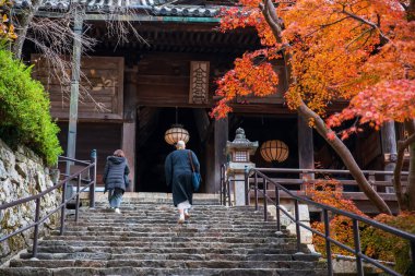 Budist rahip renkli sonbahar akçaağaç yaprakları tünel, Nara, Japonya ile Hasedera tapınağına giden merdivenlerde yürüyor. Aralık ayında Kansai 'de turistler için ünlü bir tatil beldesi..