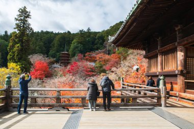 Tahta terasta yaşayan turistler sonbahar yeşillik rengi ve Hasedera tapınağı mabedi, Sakurai, Nara, Japonya 'yı görürler. Aralık ayında Kansai 'de turistlerin en iyi tatil yeri..