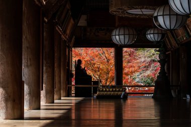 Hasedera tapınağında el hareketi ile siluet Buda heykeli, sonbahar yeşillik rengi, Sakurai, Nara, Japonya. Aralık 'ta Kansai' de turist turizminin son durağı.