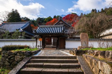 Hase-dera ya da Hasedera Tapınağı sonbahar yaprağı renkleri ve mavi gökyüzü, Sakurai, Nara, Japonya. Aralık ayında Kansai 'de turistler için ünlü bir tatil beldesi..