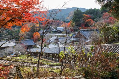 Hase-dera ya da Hasedera Tapınağı, Sakurai, Nara, Japonya sonbahar yaprağı renginde ahşap koridor manzarası. Aralık ayında Kansai 'de turistler için ünlü bir tatil beldesi.