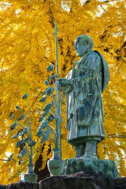 Japonya 'daki Shitennoji Tapınağı Osaka' da Ginkgo sarı yapraklı Kobo Daishi rahip heykeli. Sonbahar mevsiminde Kansai 'yi gezmek için ünlü bir tatil beldesi..