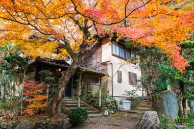 Japonya, Osaka 'daki Minoh şelalesinde sonbahar akçaağaç yaprağı renginde geleneksel Japon oteli ryokan. Sonbahar mevsiminde Kansai 'yi gezmek için ünlü bir tatil beldesi..