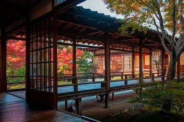 Kenninji Tapınağı ahşap koridor geçidi renkli yapraklara karşı, Kyoto, Japonya. Özellikle sonbahar mevsiminde Kansai 'de ünlü bir tatil beldesi..