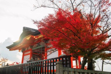 Kiyomizudera Tapınağı Sammon kapısı kırmızı akçaağaç yaprakları ile sonbaharda gün batımına karşı, Kyoto, Japonya. Canlı turuncu pagoda rengarenk yeşilliklerle göze çarpıyor. Manzarayı güzelleştiriyor..