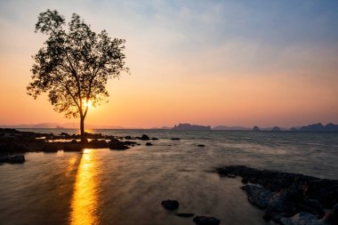 Tayland, Krabi 'deki Koh Kwang adasında gün batımında hareketli dalgalarla sahilde siluet ağacı. Siyam 'da yaz tatili için ünlü seyahat yeri. Hareket dalgası deniz manzarası..