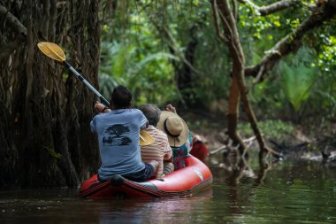 Yerel rehber, Tayland 'daki Phang nga nehri boyunca Little Amazon veya Sang Nae Kanalı' ndaki Banyan Ağacı 'nı işaret etmek için kürek kullanır. Doğada ünlü bir seyahat.