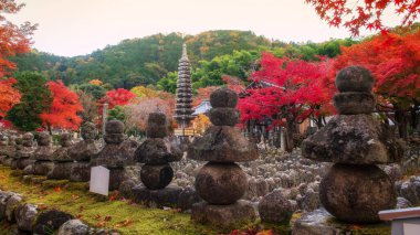 Japonya 'nın Arashiyama, Kyoto, Japonya' daki Adashino Nenbutsuji Tapınağı 'ndaki renkli sonbahar yapraklarıyla mezarlıktaki taş tapınak. Sonbahar mevsiminde Kansai 'nin turist gezisi için ünlü bir tatil yeri..