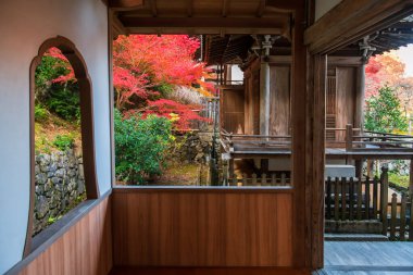 Nisonin Tapınağı 'nın Aralık ayında sonbahar bahçeli salonu, Arashiyama, Kyoto, Japonya. Sonbahar mevsiminde Kansai 'nin turist gezisi için ünlü bir tatil yeri..