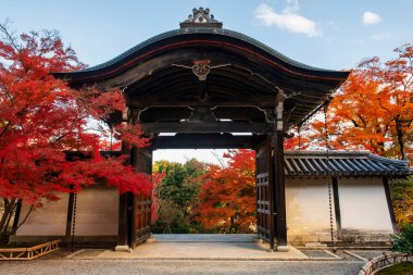 Renkli sonbahar yapraklarıyla Nison-in Budist Tapınağı 'na giriş kapısı, Arashiyama, Kyoto, Japonya. Sonbaharda Kansai 'nin turist gezisi için ünlü bir tatil yeri..