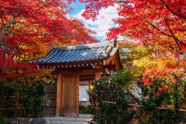 Japonya, Arashiyama, Kyoto 'daki Jojakkoji Tapınağı' nın güzel yaprak bahçesine karşı ahşap kapı. Sonbahar mevsiminde Kyoto 'nun batısındaki ünlü seyahat merkezi..