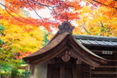Renkli sonbahar yapraklarıyla Ryoanji Tapınağı 'nın çatısından bahçeye, Kyoto, Japonya' nın renksiz bir görüntüsü. Sonbaharda Zen sanat parkının ünlü seyahat yeri.