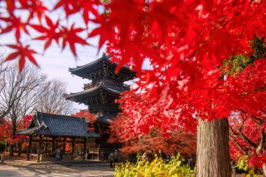 Turistler Shinnyodo Pagoda 'yı sonbaharda Kyoto, Japonya' da kırmızı akçaağaç yapraklarıyla ziyaret ederler. Sonbahar mevsiminde Kansai 'yi gezmek için ünlü bir tatil beldesi..