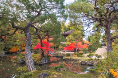 Ginkakuji Tapınağı 'nın gümüş Pavyonu ve Japonya' nın Kyoto şehrinde güzel bir sonbahar bahçesi. Kansai 'yi sonbaharda gezmek için turistik bir yer..