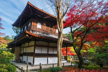 Ginkakuji Tapınağı 'nın gümüş Pavyonu sonbahar bahçesinin renkli akçaağaç yaprağıyla mavi gökyüzüne karşı, Kyoto, Japonya. Sonbahar mevsiminde Kansai 'yi gezmek için turistik bir yer..