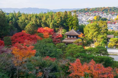 Ginkakuji tapınağındaki Gümüş Pavilion ve Japonya 'nın sonbaharda Kyoto şehir manzarası. Sonbahar mevsiminde Kansai 'yi gezmek için ünlü bir gezi yeri..