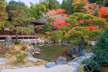Japonya 'nın Kyoto kentindeki Silver Pavilion Ginkakuji Tapınağı' nın yanında güzel bir mimari ve sonbahar bahçesi. Sonbahar mevsiminde Kansai 'yi gezmek için ünlü bir gezi yeri...