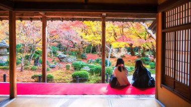 Enkoji Tapınağı terasındaki Japon genç arkadaşları güneş ışığına dokunan renkli sonbahar yeşillik bahçesine bakıyorlar, Kyoto, Japonya. Sonbahar mevsiminde Kansai 'de Rinzai Zen Budist mezhebinin ünlü seyahat noktası.