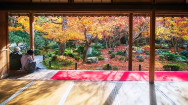 Enkoji Tapınağı terasındaki yaşlı Japon çift, bahçedeki güzel sonbahar yeşilliklerini gün ışığına, Kyoto, Japonya 'ya karşı görüyorlar. Rinzai Zen Budist mezheplerinin sonbaharda Kansai' yi gezmek için gittikleri yer.