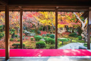 Japonya, Kyoto 'daki Enkoji Tapınağı' ndan sonbahar yapraklı bahçe manzarası. Rinzai Zen Budist mezheplerinin seyahat yeri sonbaharda Kansai 'yi gezmek için.