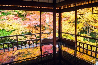 Tahta masa ve Japonya, Kyoto 'daki Rurikoin Tapınağı' nın güzel sonbahar yaprak bahçesini görmek için koltuklar. Turist gezisi için Kansai 'de sonbahar sezonu..