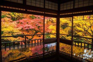 Rurikoin Tapınağı 'nın üst katında güzel sonbahar akçaağaç yaprağı renkleriyle, Kyoto, Japonya. Turist gezisi için Kansai 'de sonbahar sezonu..