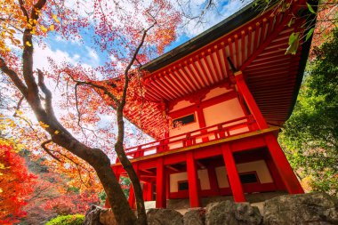 Daigo-ji veya Daigoji Tapınağı Pavyonu mavi gökyüzü ve güneş ışığına karşı renkli sonbahar akçaağaç yaprağı, Kyoto, Japonya. Aralık 'ta Kansai' de turist turizminin son durağı.