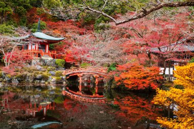 Daigo-ji 'deki Pavilion pagoda ve Japonya' nın başkenti Kyoto 'da bulunan renkli sonbahar akçaağaç yaprağı bahçeli Diagoji tapınağındaki kırmızı köprü. Aralık 'ta Kansai' de turist turizminin son durağı.