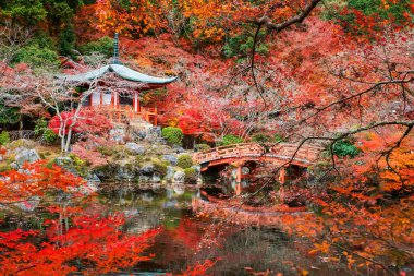 Sonbahar akçaağacı, Japonya 'nın Kyoto kentindeki Daigo-ji ya da Diagoji tapınağındaki Pavilion pagoda' nın etrafını sarar. Aralık ayında Kansai 'deki ünlü tatil beldesi.